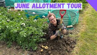 June Allotment Tour  Allotment Gardening For Beginners UK [upl. by Madelina]