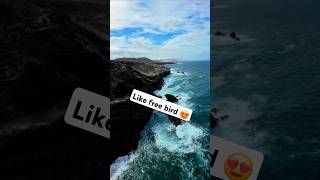 Flying like free bird with DJI AVATA 2 DJI music remix spotify rock dji fpv avata avata2 [upl. by Sirromaj]