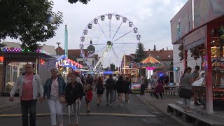 PUNKTum Kobermännchenfest in Sangerhausen gefeiert [upl. by Eijneb]