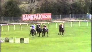 1989 John Seyfried Mickleton Handicap Chase Cheltenham Stars Delight [upl. by Gratianna]