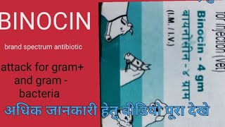 Binocin  ampicillin and cloxacillin injection ampicillin and cloxacillin uses  Manjhi Veterinary [upl. by Iveson]