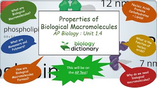 Properties of Biological Macromolecules  AP Biology 14 [upl. by Nyliram416]