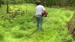 Trimming an overgrown power line for a customer with the Shindaiwa 302 trimmer [upl. by Nennahs]