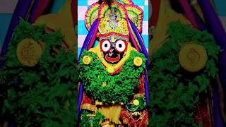 Govinda Govinda bhajan Hare Krishna naam japari Jagannath Naam bolo rejay love jay ⭕❗⭕🌺🙏32408 [upl. by Goodrich]