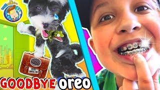 SAYING GOODBYE TO PUPPY amp Hello to Mikes New BRACES FUNnel Vision Vlog [upl. by Adriene329]