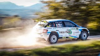 Giandomenico Basso Campione Italiano Rally 2019  Best of CIR 2019  SLOW MOTION CONTENT [upl. by Pincas]