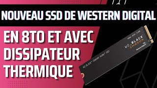 Le Western Digital BLACK SN850X en 8To et avec dissipateur thermique [upl. by Akcirederf]