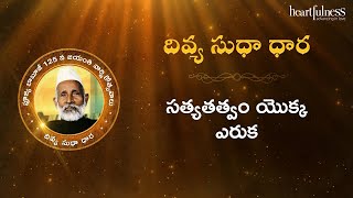 Divya Sudha Dhara  సత్యతత్వం యొక్క ఎరుక  Heartfulness Telugu  26112024 [upl. by Nednil]