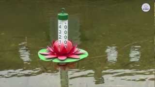 FIAP LOTUS ACTIVE Schwimmthermometer [upl. by Irolav]