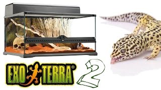 Ep 2 Leopard Gecko Exo Terra Setup [upl. by Ydnarb]