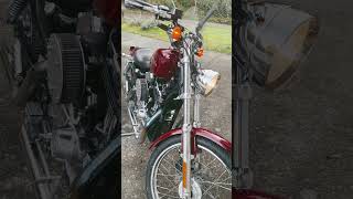 Warmed up for transmission oil change harleydavidson sportster1200 harley [upl. by Mcgrody]