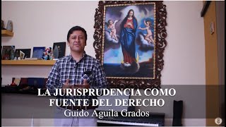 LA JURISPRUDENCIA COMO FUENTE DEL DERECHO  Tribuna Constitucional 14  Guido Aguila [upl. by Ahsotal]