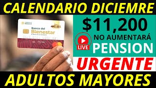 No aumentará la pensión 2025 Y calendario diciembre pago de 11 mil 200 💰✅ [upl. by Sehcaep]