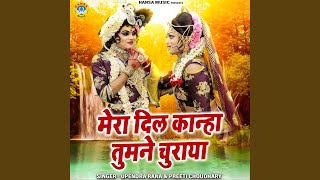 Mera Dil Kanha Tumne Churaya [upl. by Arytal]