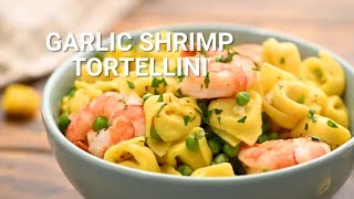 How to Make Garlic Shrimp Tortellini [upl. by Acinej]