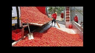 इनके काम करने की स्पीड को देखकर हर कोई चौंक गया  FASTEST WORKERS IN THE WORLD [upl. by Keisling765]