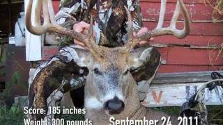 THE BIGGEST WHITETAIL HARVEST EVER CAPTURED ON A TRAIL CAMERA [upl. by Larson]