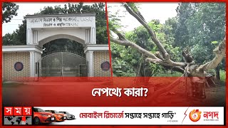 তাজা গাছকে মরা দেখিয়ে বিক্রি  Tree  BCSIR  Rajshahi News  Somoy TV [upl. by Marelya548]