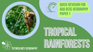 Revise Tropical Rainforests in 35 Minutes  Quick Revision for GCSE Geography [upl. by Eissed]