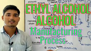 Ethyl alcohol  Ethanol  Alcohol manufacturing process  Chemical Pedia [upl. by Riaj64]