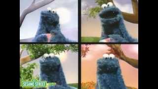 Sesame Street Eating Cookies All Year With Cookie Monster [upl. by Eesyak]