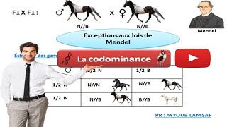 Bac math et sc  SVT  EP19 le cycle uterin la glaire cervicale [upl. by Dyraj]