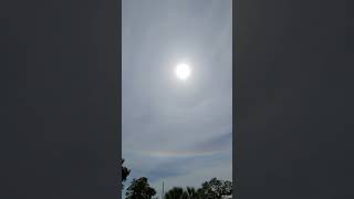 Circumhorizontal Arc and Solar Halo Pair Up Over Florida Sky [upl. by Pepita]