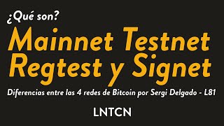 Mainnet Testnet Regtest y Signet ¿Qué son y cuál es su diferencia [upl. by Niawd]