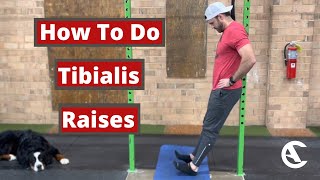 Tibialis Raises [upl. by Sivia]