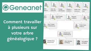 Comment travailler à plusieurs sur votre arbre généalogique avec Geneanet [upl. by Elamaj]