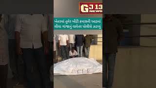 Surendranagar SOG police news  ચોટીલા માંથી લીલા ગાંજા નું વાવેતર ઝડપાયું [upl. by Oiragelo]