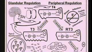 Epigenetics Modern Day Lifestyle and Your DNA [upl. by Auqenwahs97]