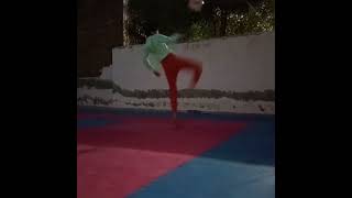 viral highkick martialarts workout [upl. by Elia978]