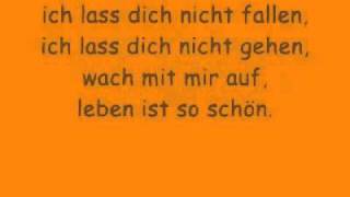 Leben ist schön Eisblume lyricsmp4 [upl. by Higley]