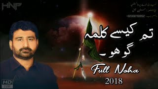 Tum Kaise Kalma Go Ho Full Noha 2018  Raza Abbas Shah Nohay  Noha 2018  Hnp  Muharram Status [upl. by Aryad]