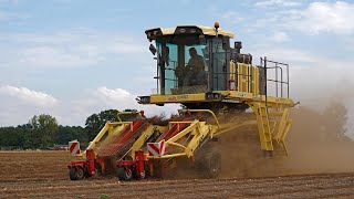 Turning flax high speed  Dehondt TD 215  Flax harvest in France 🇫🇷 [upl. by Stout]