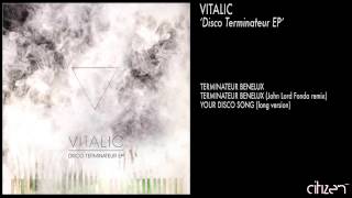 Vitalic  Terminateur Benelux [upl. by Arres]