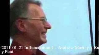 20110121 Inflammation 1  Andrew Murray  Ray Peat [upl. by Kellsie]