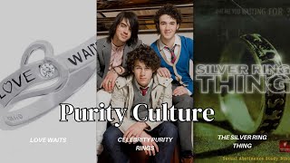 Lets Talk About Purity Culture Feat Church Hurt and my Company Sweater [upl. by Nickie]