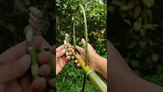 Diy bamboo slingshotsfun amp easy to make at home slingshots bamboo ideas diyprojects [upl. by Aubrey]