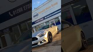 Work life cars sales usedcars mustang [upl. by Mullac]