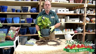 Holdridge Home amp Garden Repotting Demo [upl. by Ialda]