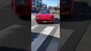 FERRARI F40 SURPRISES KNOKKEHEIST [upl. by Yorgo]