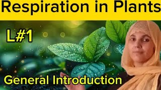 Plant PhysiologyL1Respiration In PlantsCelluler RespirationAll Boards ExamNEETMDCAT Biology [upl. by Selmner157]