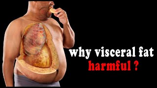 LipoMelt  Dangers of Visceral Fat [upl. by Resaec]