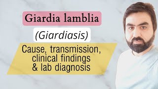 Lec4  Giardia lambliaIntestinalis  Transmission  Pathogenesis  Lab diagnosis  urduHindi [upl. by Adnilasor]