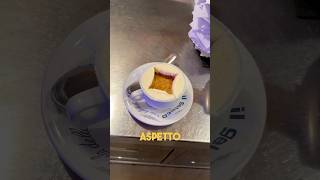 L’affogato al caffè più famoso del Mondo food [upl. by Anum458]