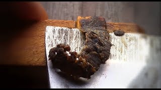 Harvesting Propolis While Cleaning Frames [upl. by Idolem]