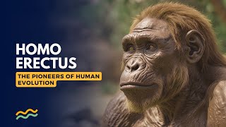 Homo Erectus The Pioneers of Human Evolution AUDIOBOOK  Homo Erectus  Ancient Human [upl. by Abelard]