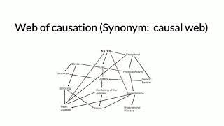 Web Of Causation [upl. by Ettevey]